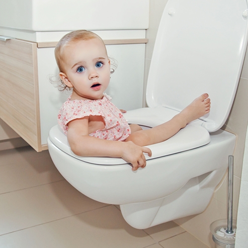 baby-proof-toilet-lock