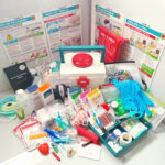 family-first-aid-box-250-piece